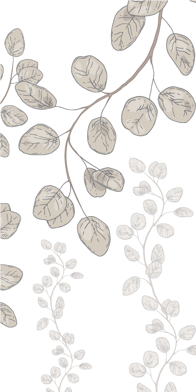 Poster plantes jeunes feuilles style provençal - TenStickers
