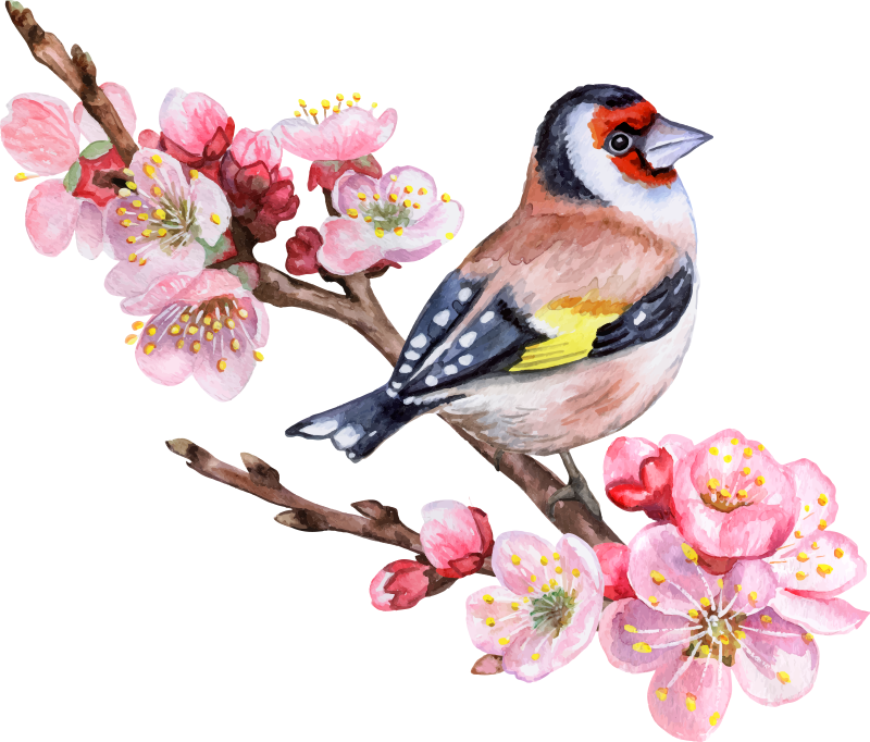 Poster arbre branches printanières avec oiseaux - TenStickers