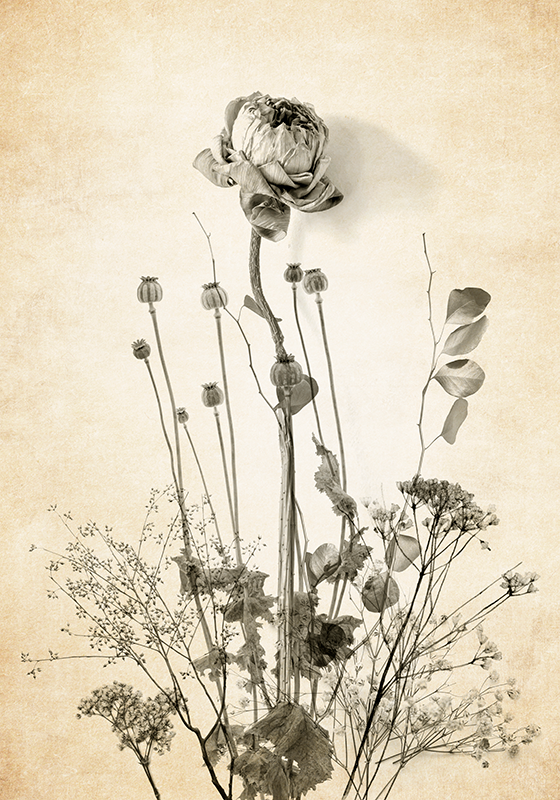 Poster plantes bouquet de fleurs sur fond beige - TenStickers