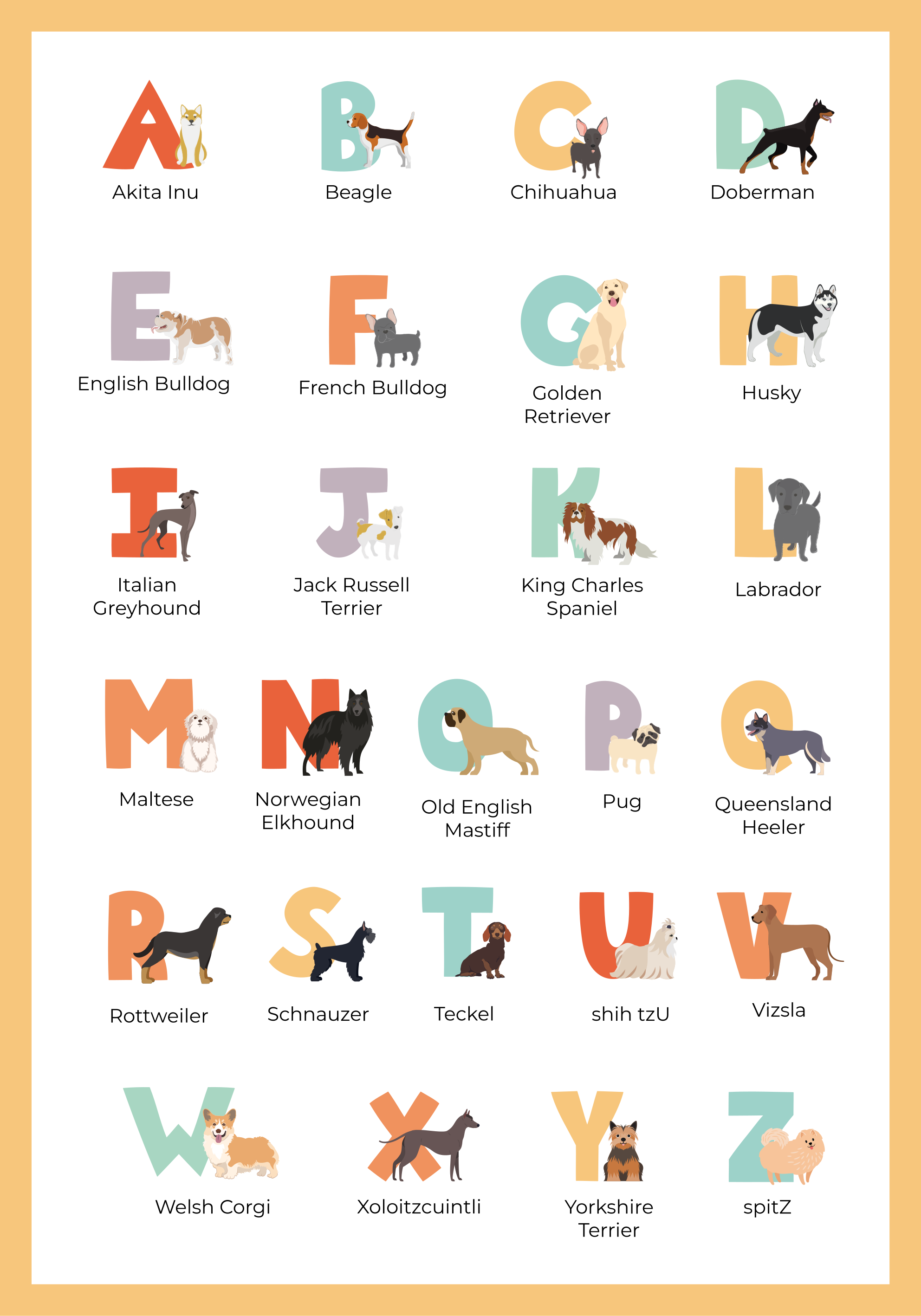 Poster chiens races de chiens par ordre alphabétique - TenStickers