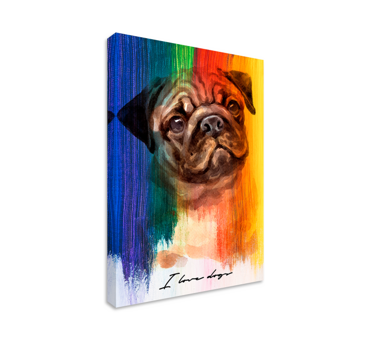 Tableau chien Carlin arc-en-ciel - TenStickers