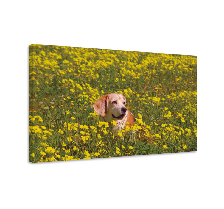 Tableau fleurs Chien portant des fleurs - TenStickers