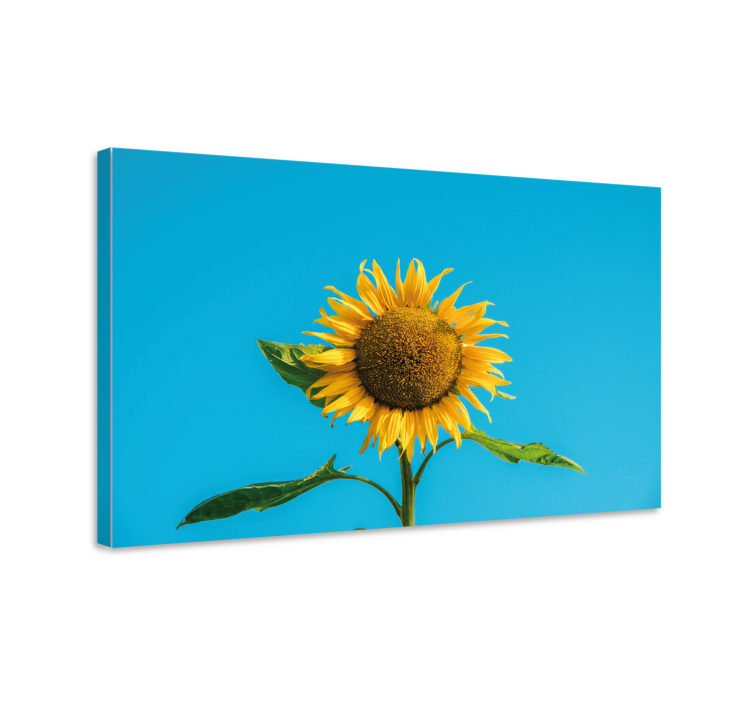 Tableau fleurs et plantes fleur de tournesol radieuse - TenStickers