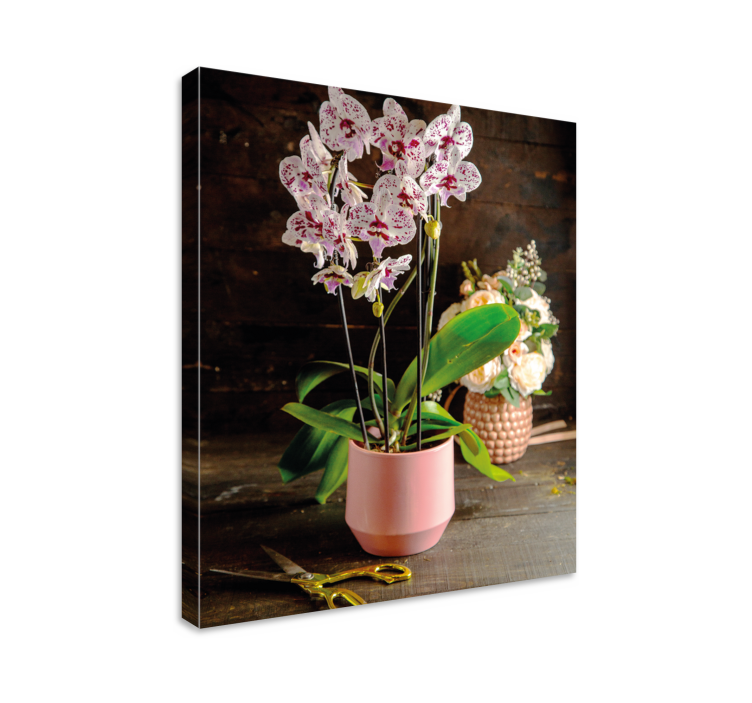 Tableau fleurs Fleur d'orchidée en pot - TenStickers
