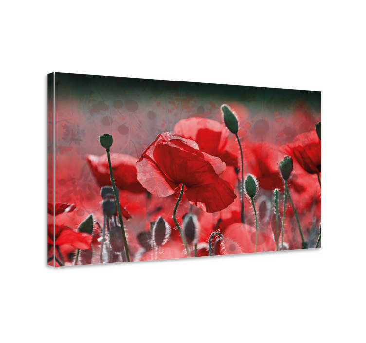 Tableau fleurs Champ de pavot rouge et vert - TenStickers