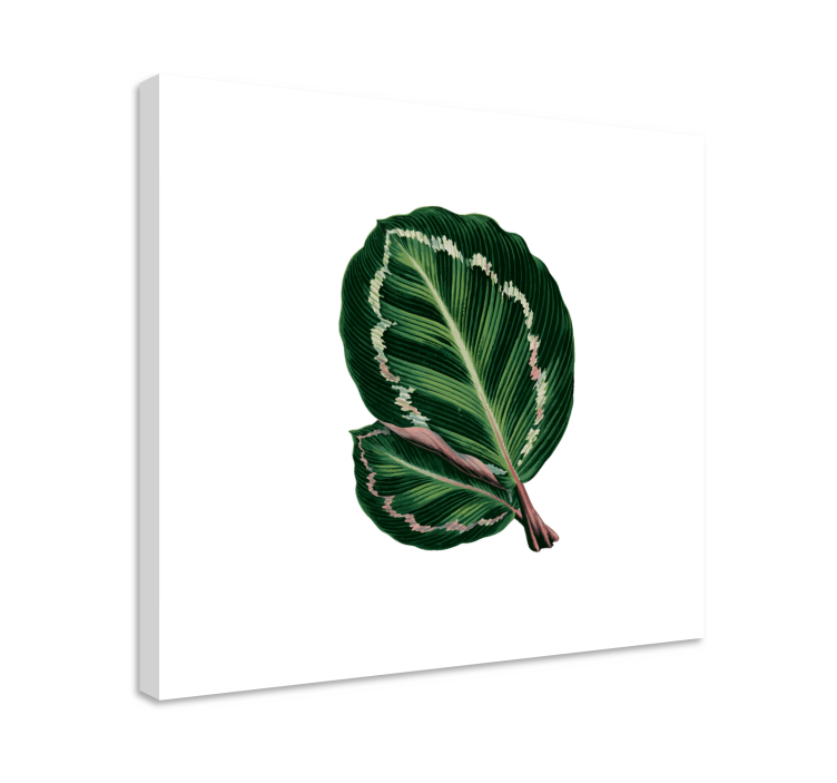 Tableau fleurs et plantes design à grandes feuilles - TenStickers