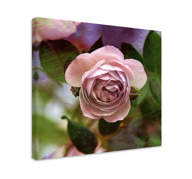 Tableau fleurs Rose détaillé - TenStickers