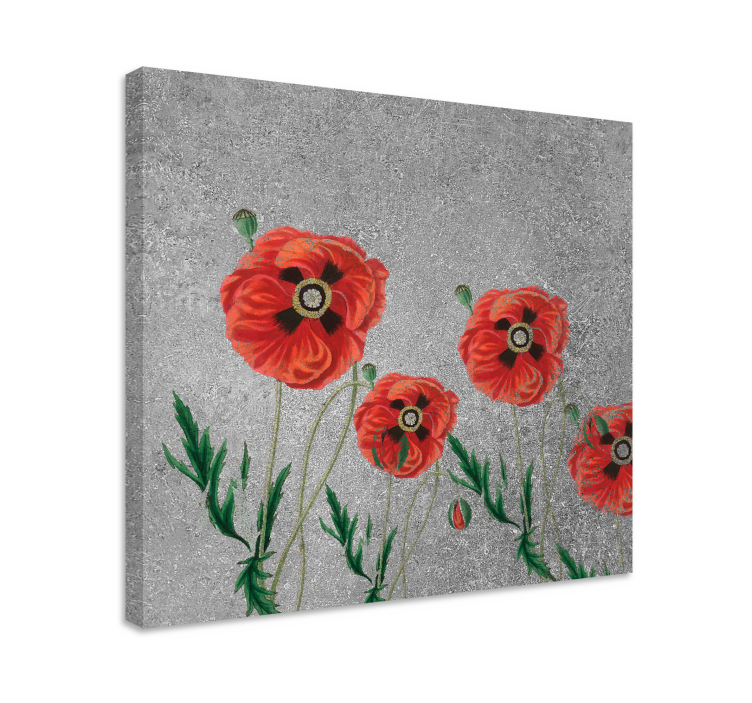Tableau fleurs et plantes poppies éclatantes - TenStickers