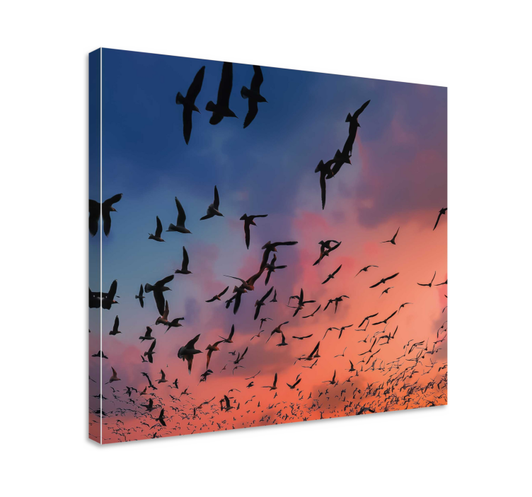 Tableau oiseaux vol de oiseaux - TenStickers