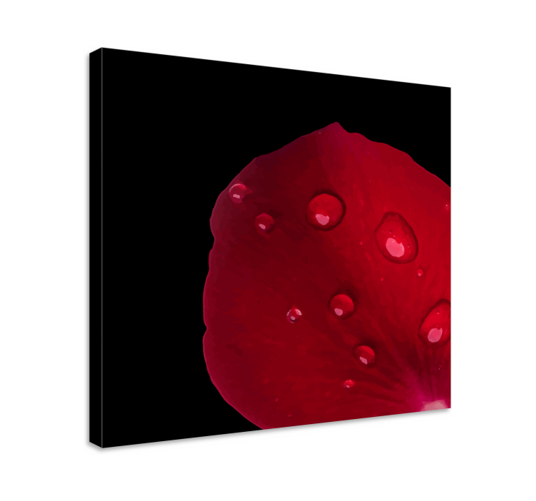 Tableau fleurs et plantes détail de pétales de rose - TenStickers