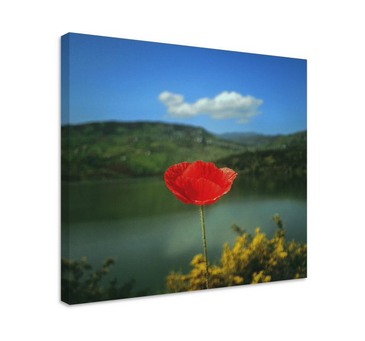 Tableau fleurs et plantes coquelicot rouge - TenStickers