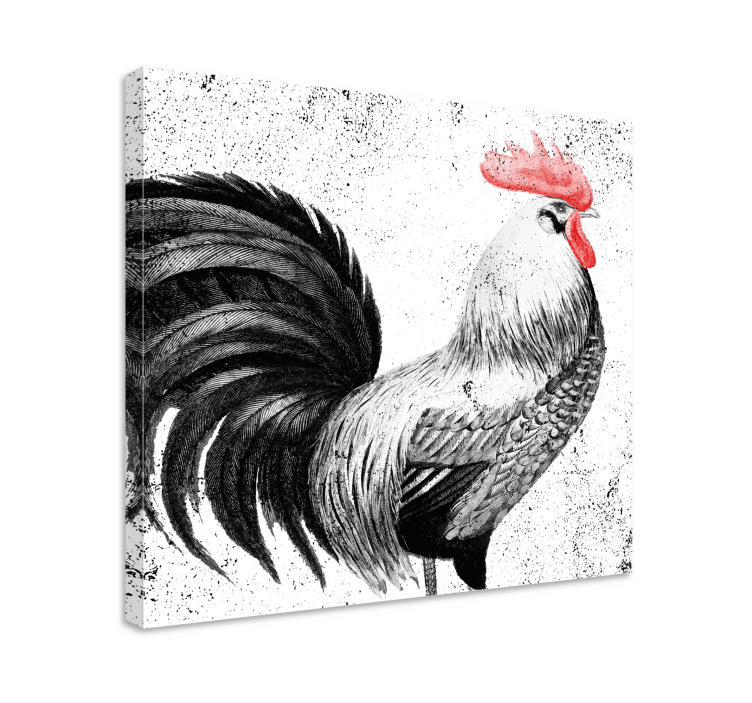 Tableau représentant un coq noir blanc et rouge - TenStickers