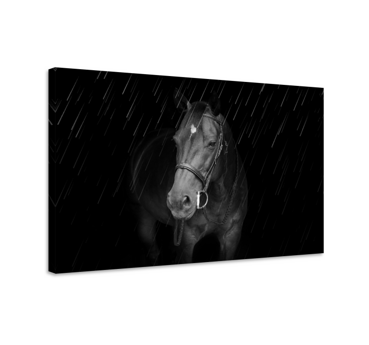 Tableau chevaux cheval noir majestueux - TenStickers