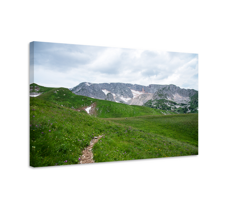 Tableau paysages chemin de montagne serein - TenStickers