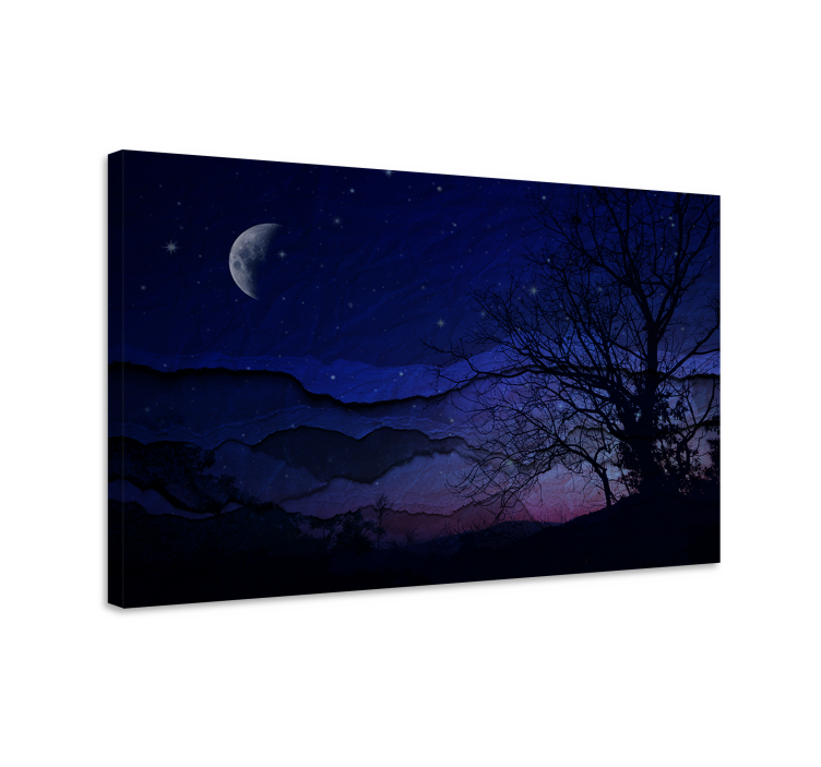 Tableau paysages sérénité du ciel nocturne - TenStickers