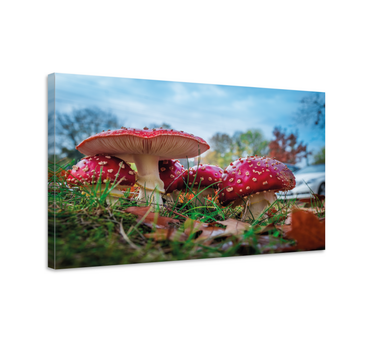 Tableau fleurs et plantes groupe de champignons rouges - TenStickers