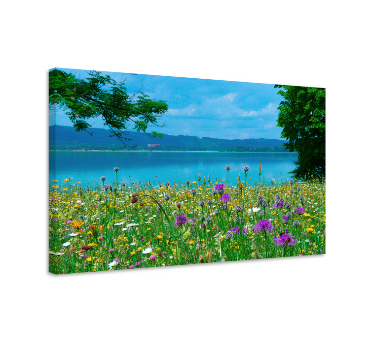 Tableau fleurs et plantes vue sur prairie en fleurs - TenStickers