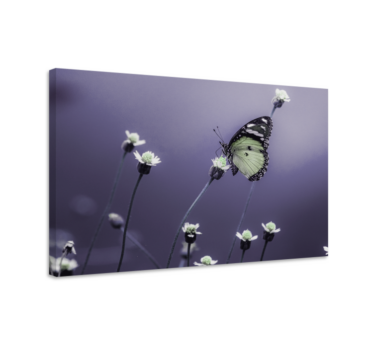 Tableau papillons papillon parmi les fleurs - TenStickers