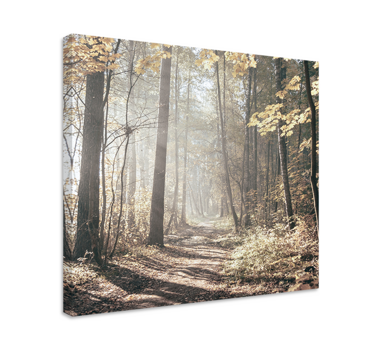 Tableau paysages chemin couvert de brume - TenStickers