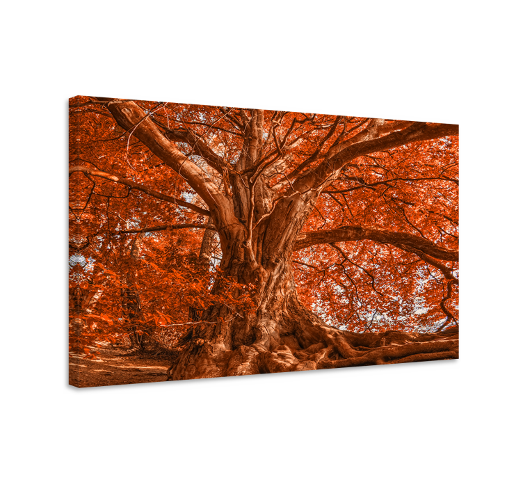 Tableau arbres canopée d'automne majestueuse - TenStickers