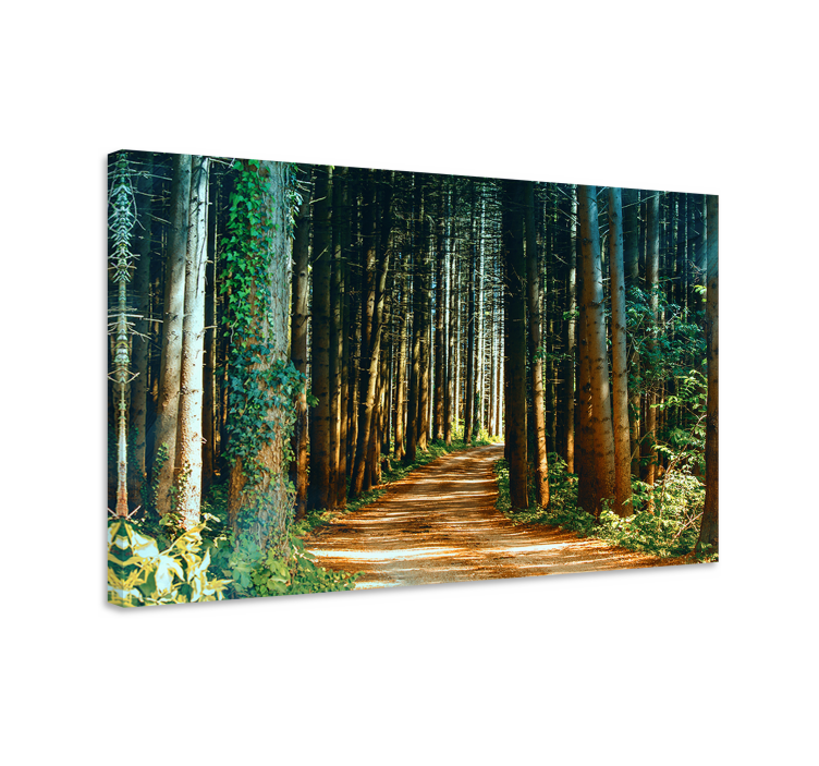 Tableau paysages chemin forestier - TenStickers