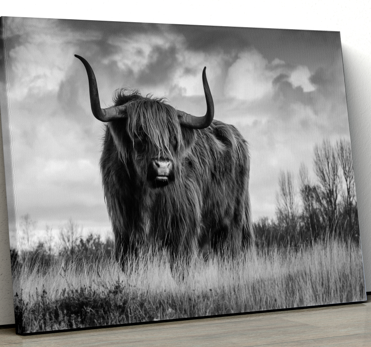 Tableau animal Bovins highland noir et blanc - TenStickers
