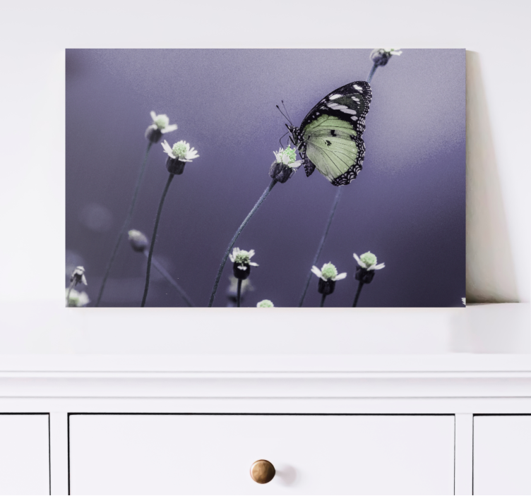 Tableau papillons papillon parmi les fleurs - TenStickers
