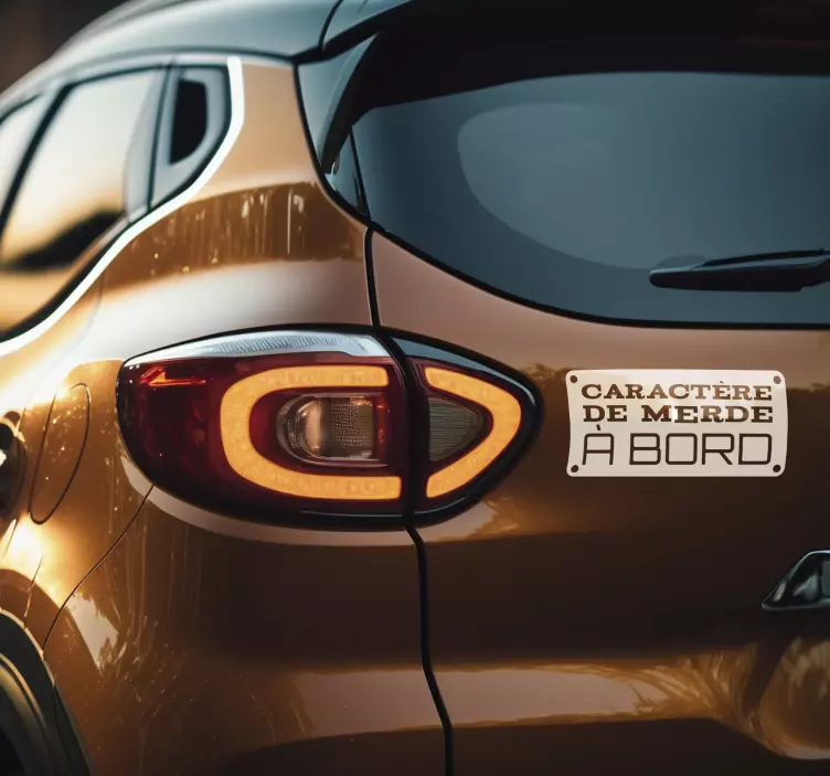 Autocollant voiture caractère de marde est une expression argotiq - TenStickers