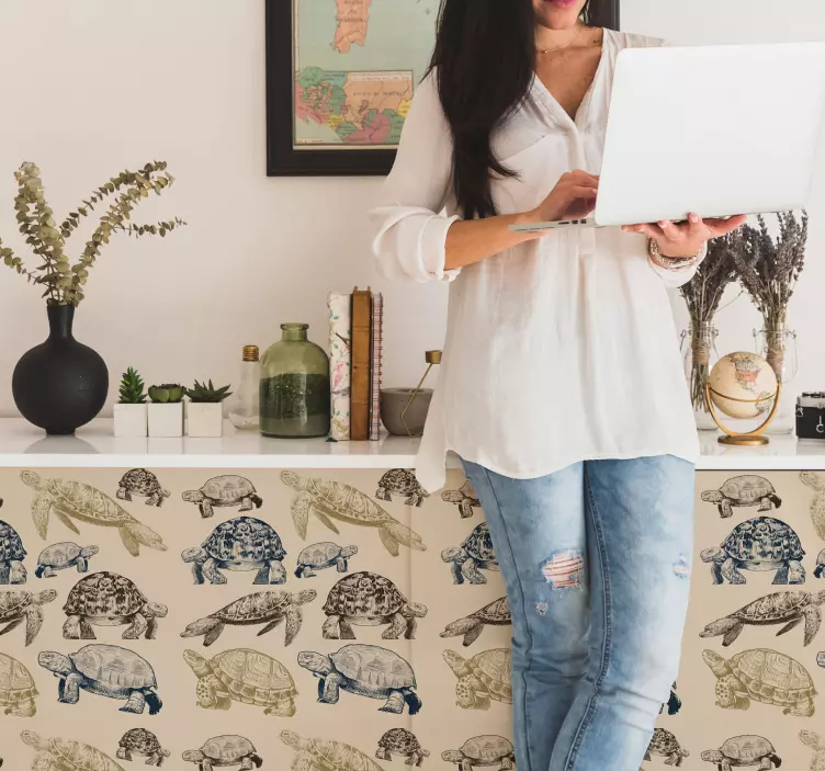 Sticker Meuble Diverses tortues - TenStickers