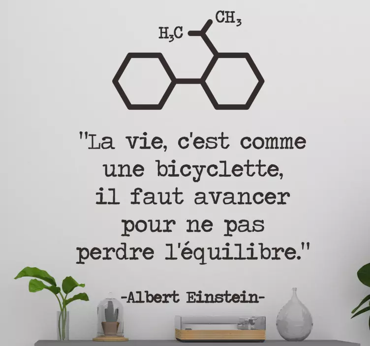 Sticker citation vie Albert Einstein - TenStickers