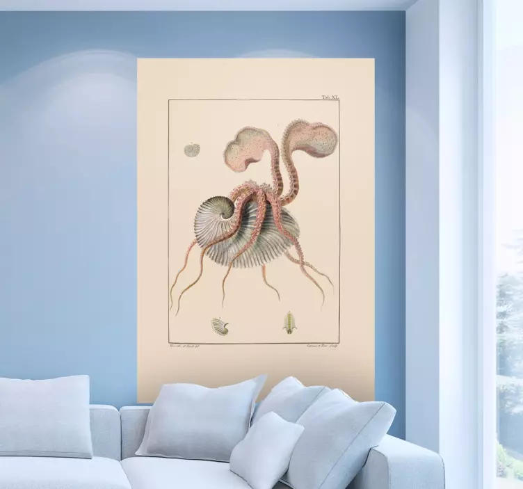 Sticker Nautilus - TenStickers