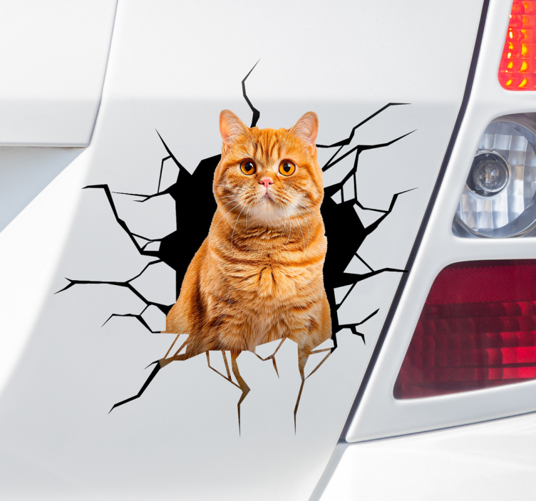Sticker voiture chat dans le trou - TenStickers