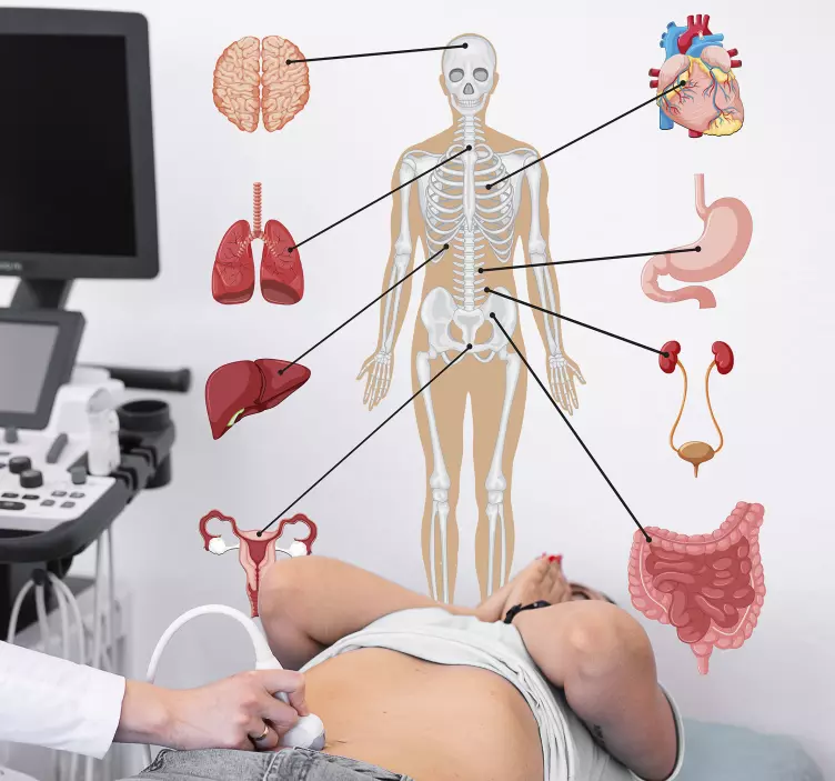 adhesif deco infographie médicale - TenStickers