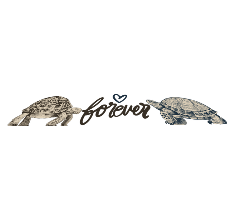 Tapis vinyle animal citation d'amour éternelle tortues - TenStickers