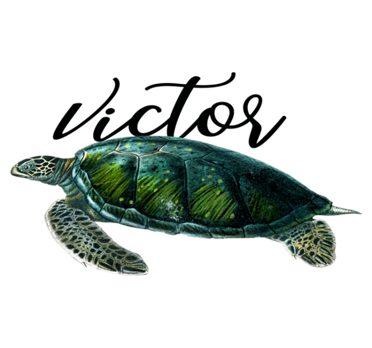 Tapis vinyle animal design tortue personnalisable - TenStickers