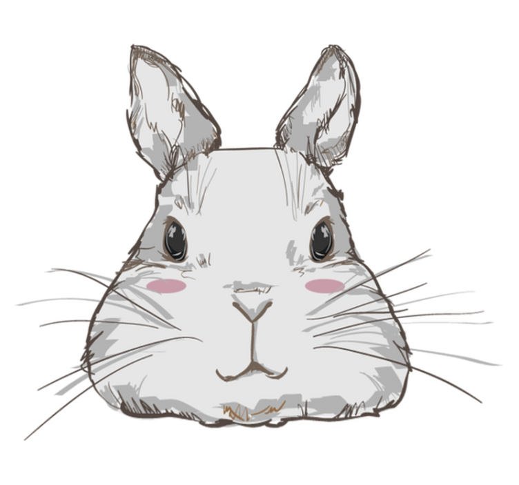 Tapis vinyle animal tête de lapin mignon - TenStickers