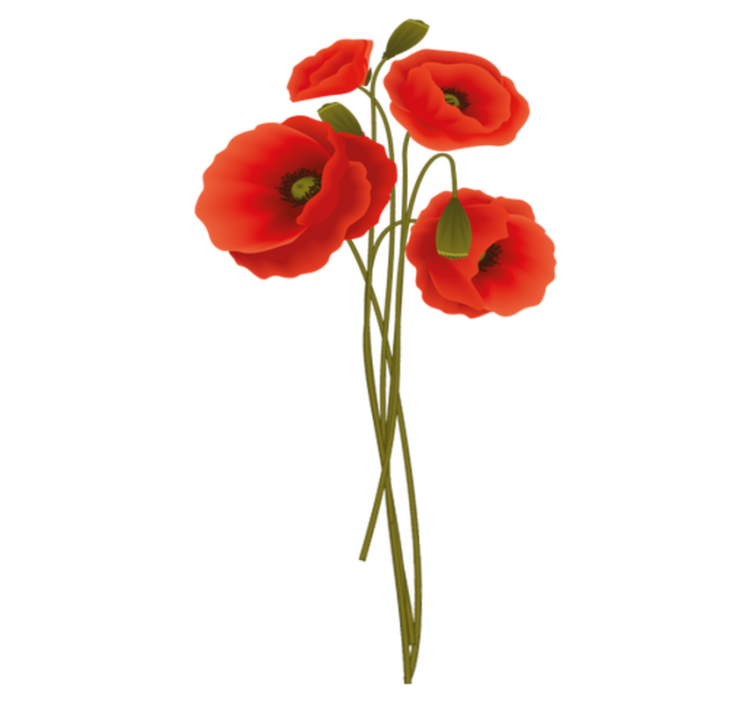 Tapis vinyle salle de bain coquelicots délicats - TenStickers