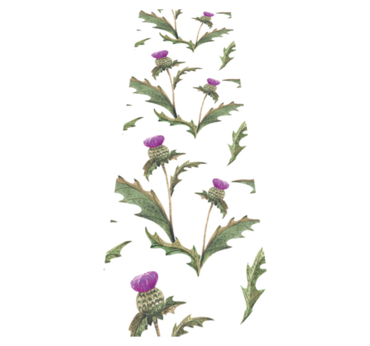 Tapis vinyle chambre chardons écossais - TenStickers