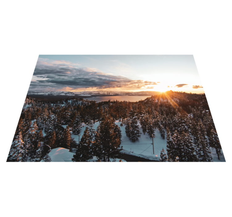 Tapis vinyle nature paysage de forêt luxuriante - TenStickers