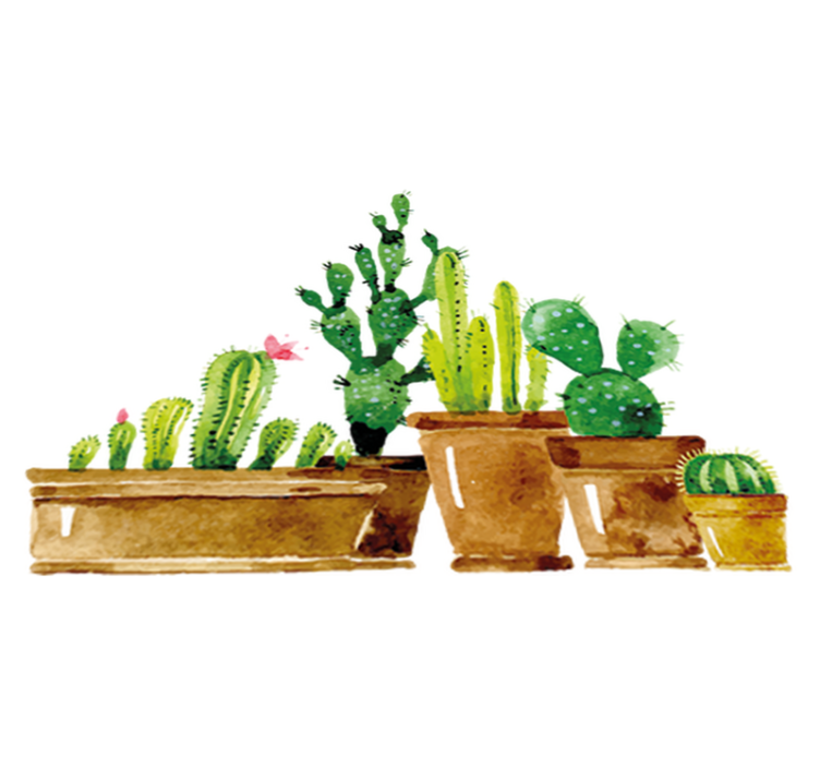 Tapis vinyle plantes jardin de cactus fait maison - TenStickers