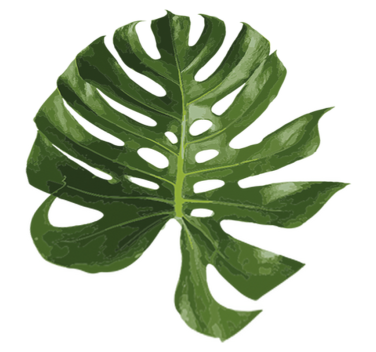 Tapis vinyle plantes feuille de monstera délicieuse - TenStickers