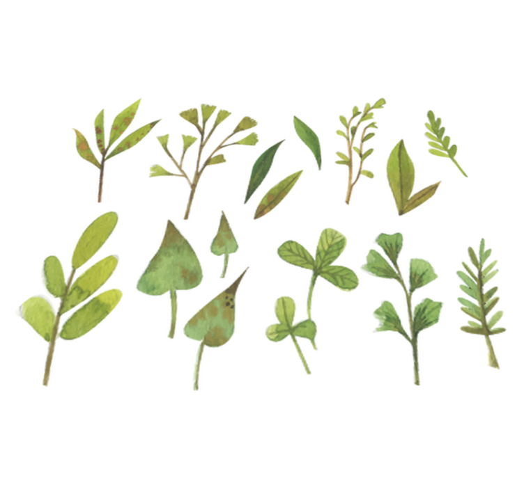 Tapis vinyle plantes feuilles aquarelle petites - TenStickers