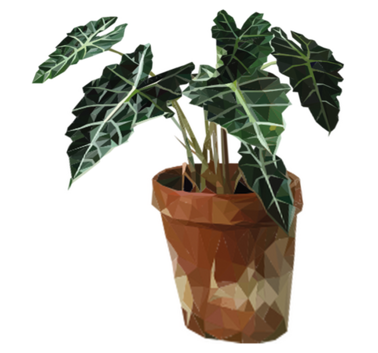 Tapis vinyle plantes pot de fleurs géométrique - TenStickers