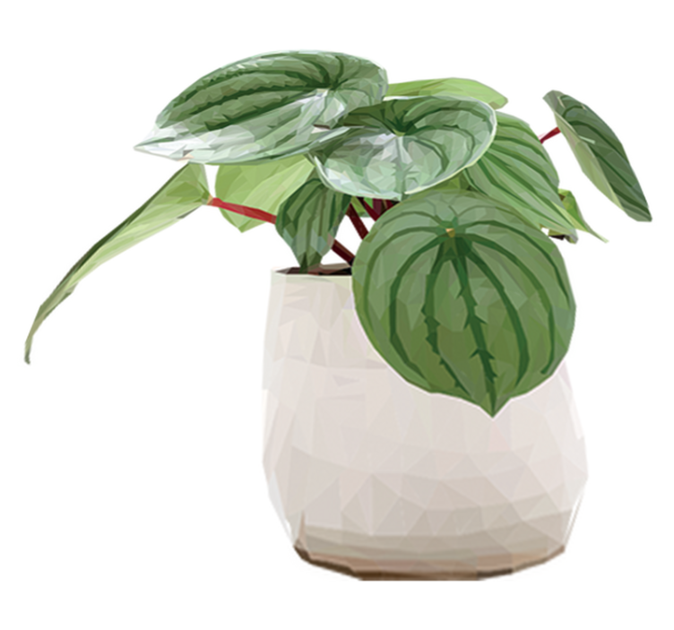 Tapis vinyle plantes plante d'intérieur simple - TenStickers