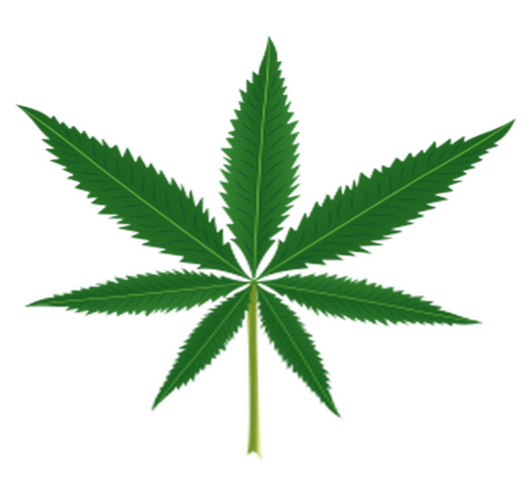 Tapis vinyle plantes feuille de marihuana - TenStickers