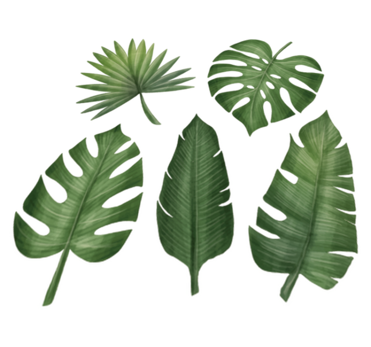 Tapis vinyle plantes grandes feuilles vertes - TenStickers