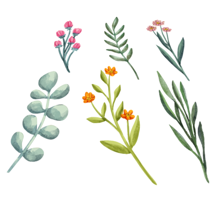 Tapis vinyle plantes branches - TenStickers