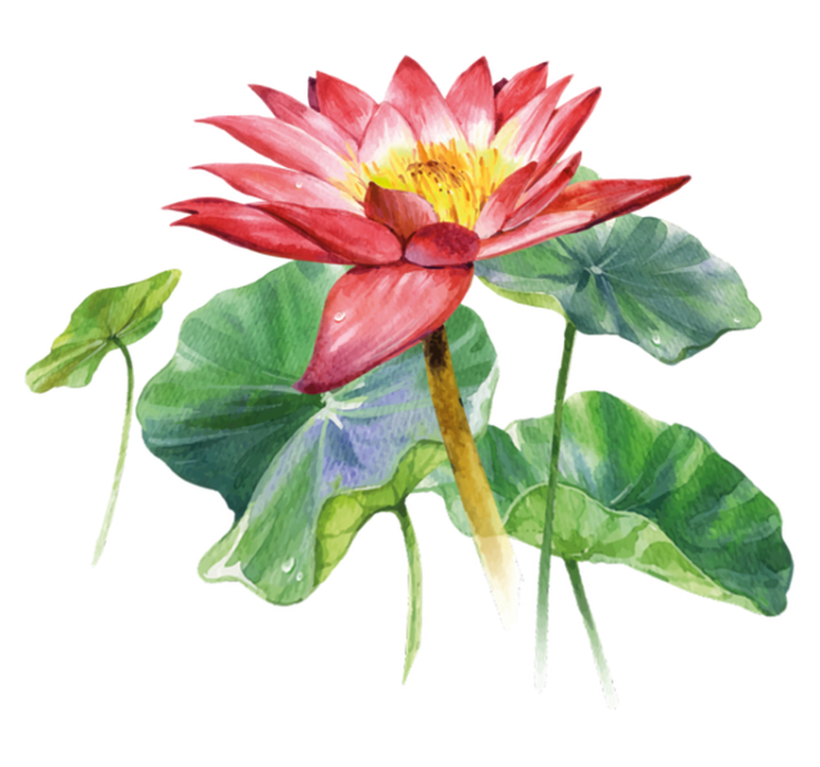 Tapis vinyle chambre illusion aquarelle lotus - TenStickers