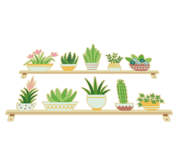 Tapis vinyle cuisine étagère avec plantes cactus - TenStickers