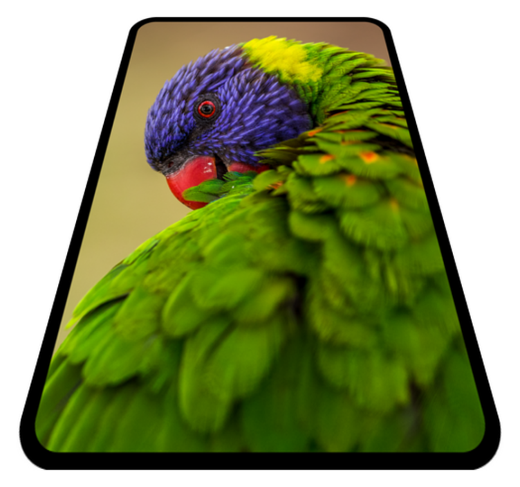 Tapis vinyle animal portrait de perroquet coloré - TenStickers